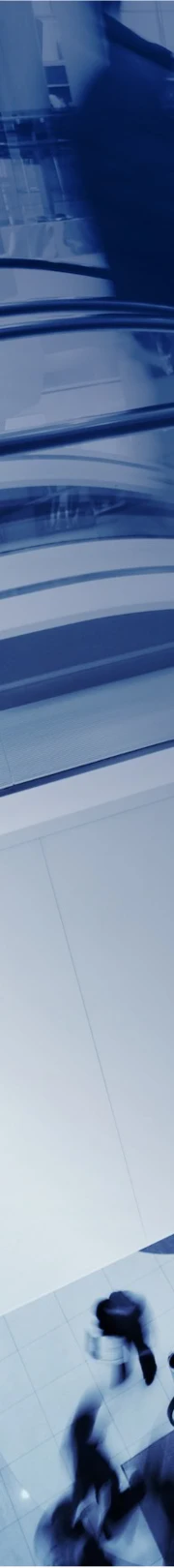 Ladislava Molnarova Consumer & Retail
